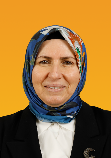 MEVLÜDE HAKSEVER